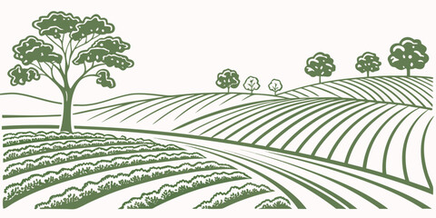 A vast agricultural landscape with rows of crops and scattered trees in the distance Vector © zon