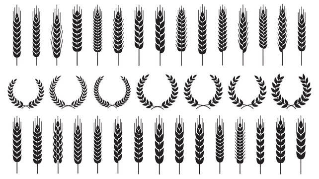 Wheat ear and laurel wreath icon set with abstract agricultural plant silhouettes, graphic design elements.