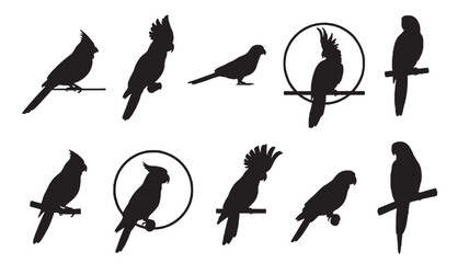 Birds silhouettes set with various parrot species and a cardinal, isolated on white background. featuring silhouette, cockatoo, macaw with avian and © Olise