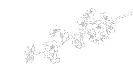 Elegant black and white outline drawing of a delicate cherry blossom branch with leaves © Malik 