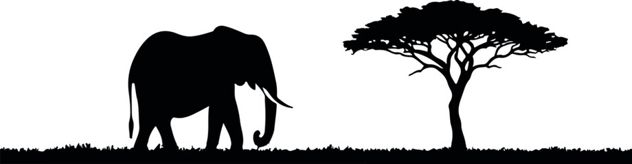 Silhouette of Elephant and Acacia: A striking silhouette of an elephant majestically walks past a solitary acacia tree, set against a backdrop of the African savannah. © Sadek