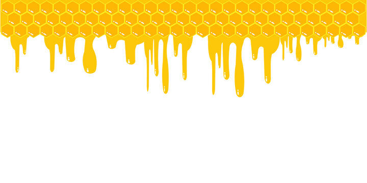 Golden honey dripping background combined with honeycomb hexagon pattern. Sweet honey drip border with copy space, perfect for honey products, beekeeping themes, organic food design, banners