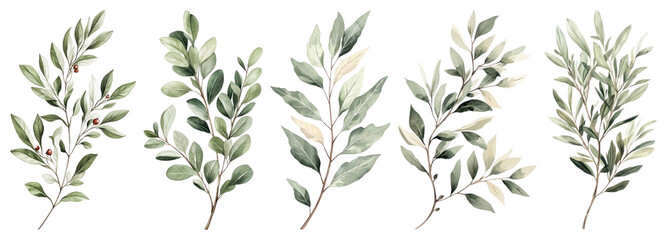 Naklejka premium PNG Elegant watercolor botanical leaf illustrations on transparent background