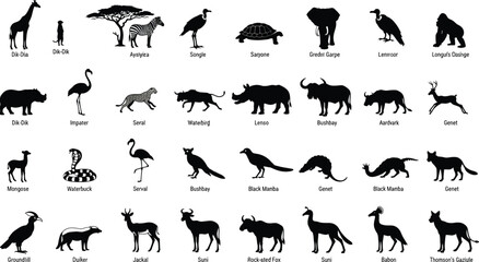 Large collection of African wildlife animal vector silhouettes set including giraffe elephant zebra rhino cheetah and safari birds for nature conservation and wilderness graphic design projects © Mahsina