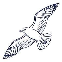 A detailed illustration of a bird in flight with intricate feather details Vector