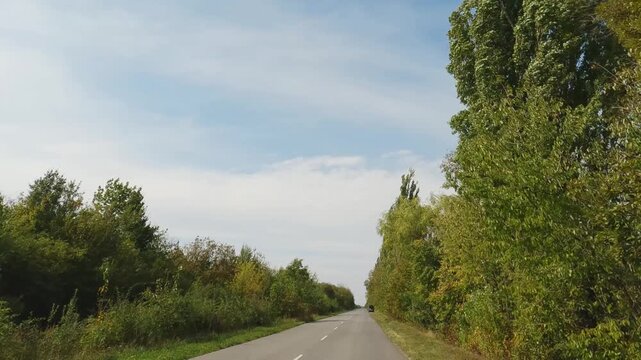 Straight road section with trees on sides from moving car