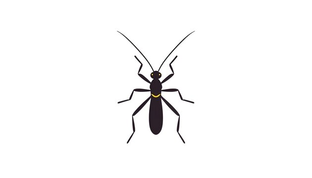 vector illustration of a Stick insect on white background