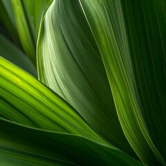 Green leaf