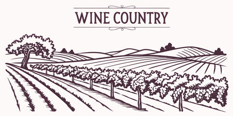 Naklejka premium A picturesque vineyard in the wine country with rows of grapevines under a clear sky Vector