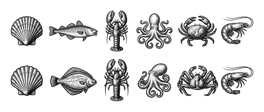 Set of vintage seafood illustrations including scallop, cod, lobster, octopus, crab, shrimp, and flounder, drawn in a detailed black and white engraving or woodcut style