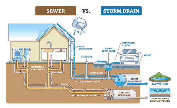 Sewer vs storm drain comparison showing separate flows, household wastewater to treatment plant and rainwater to river, key objects, house, pipes, storm drain grate, transparent background.