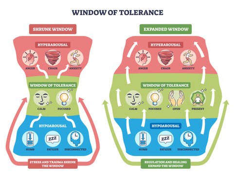 Window of tolerance brief outline shows hyperarousal, calm zone, and hypoarousal with arrows illustrating regulation between states, transparent background.