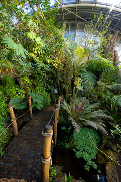 Tropical plants growing inside Fata Morgana Greenhouse