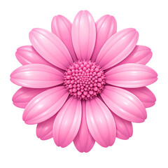 A vibrant pink gerbera daisy flower in full bloom against a black background