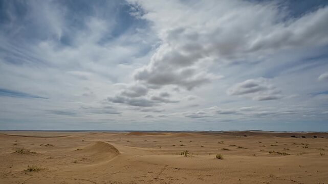 expansive desert landscape with rolling dunes under a dramatic cloudy sky