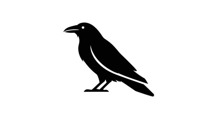 Obraz premium Black silhouette of a crow standing.