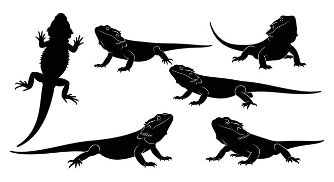 Bearded Dragon Silhouettes Collection: Multiple Poses of Reptile Icon
