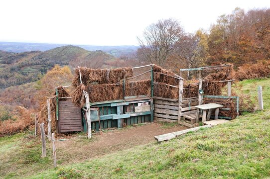 Aff&ucirc;t &agrave; palombes, poste de chasse