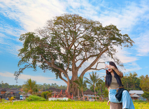 Large Banyan tree in Kayu Putih Tourism is located in Baru Village, Marga District - Tabanan Regency, Bali