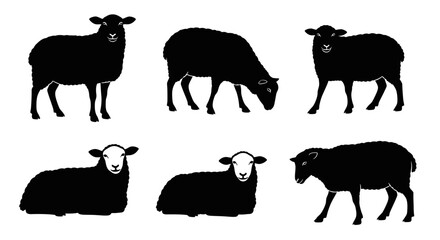 Fototapeta premium Black Sheep Silhouettes Collection: Standing, Grazing, Lying Down Poses
