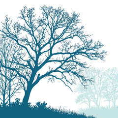 A majestic tree stands tall against a backdrop of soft, rolling hills and a clear sky. Vector © RABBI