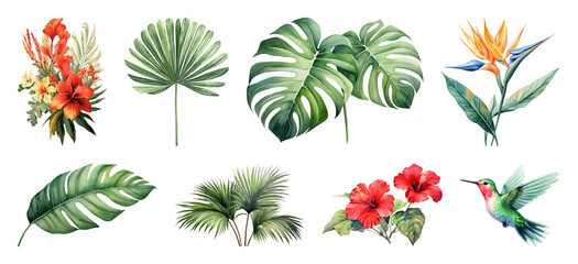 Fototapeta premium PNG Tropical floral and fauna illustration on transparent background