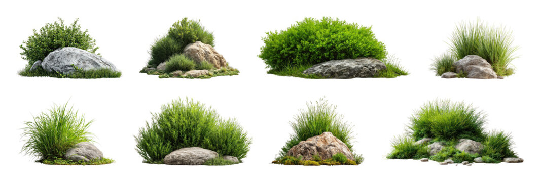PNG Lush greenery with natural rocks on transparent background
