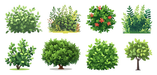 Fototapeta premium PNG Diverse lush green foliage illustrations on transparent background