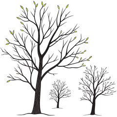 Three distinct trees with birds perched on their branches in a natural setting. Vector
