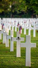 A serene image of a cemetery lined with white crosses, each adorned with a small American flag, on a green lawn