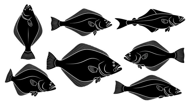 Collection of Flatfish Silhouettes: Halibut, Flounder, Sole - Vector Illustrations