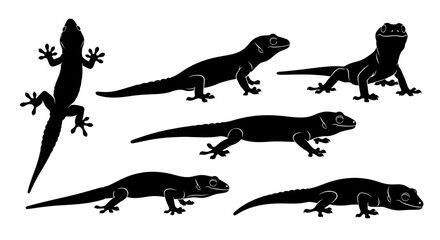 Gecko Silhouettes Collection: Various Poses and Angles