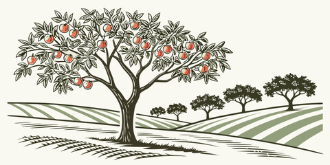 A serene landscape with a solitary tree standing on a hill overlooking a valley. Vector © Rabbi