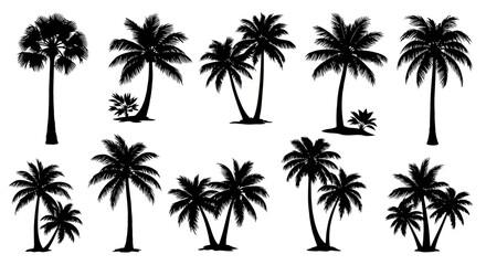 Collection of Black Silhouette Palm Trees on White Background, Tropical Vector Icons