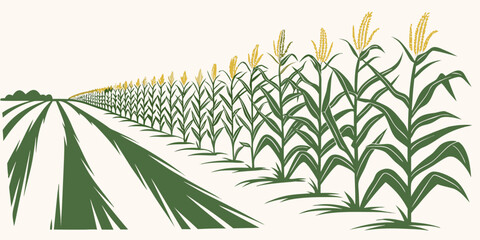 A vast field of corn stretches out under a clear blue sky with a few scattered clouds. Vector © Rabbi