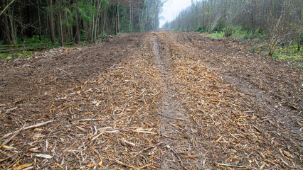 Fototapeta premium Wide muddy forest road covered with wood chips after clearcut logging. Environmental impact, habitat loss, forestry industry and land management concept.