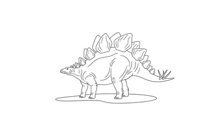 Fototapeta premium Classic black and white line drawing of a stegosaurus dinosaur showing its distinctive dorsal plates and spiked tail.
