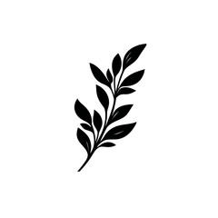 Fototapeta premium A stylized black and white illustration of a botanical sprig with multiple leaves on white background