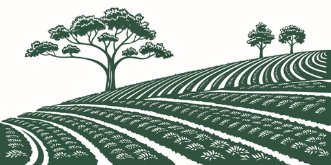 A solitary tree stands on a vast, undulating field of crops under a clear sky. Vector © rabi