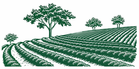 A serene landscape of rolling hills covered with lush green trees and crops. Vector © rabi