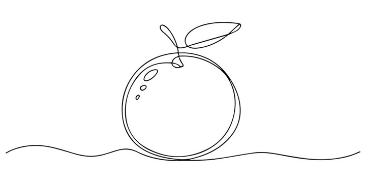 Minimalist one line art illustration of a fresh whole orange and a sliced half on white background, Orange fruit continuous one line drawing minimalist style isolate outline, Drawing of a whole citrus