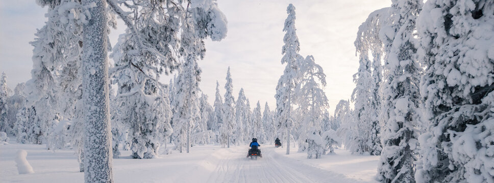 Explore winter wonderland in Akaslompolo, Lapland with snowmobiles through serene forests