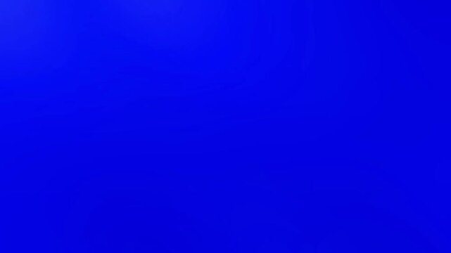 Red Poppy Flower Transitions Blue Screen | Transition 4