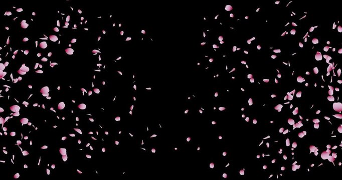 桜吹雪：桜の花びらアニメーション　4k 背景透過