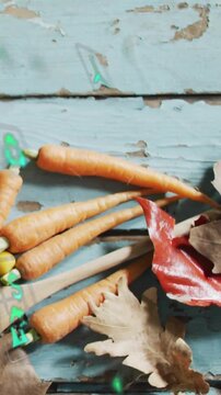 Vertical video: Cam moving up right carrots staying green doodles drifting to show harvest