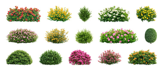 Naklejka premium PNG Colorful garden shrub collection on transparent background