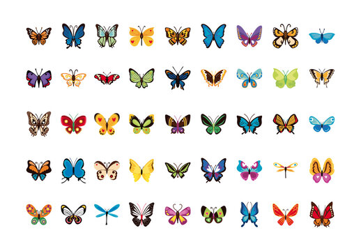 Flat Butterflies Design Set