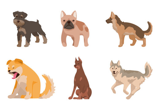 Dog Illustration Set