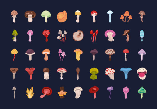 Cartoon Mushrooms Design Set