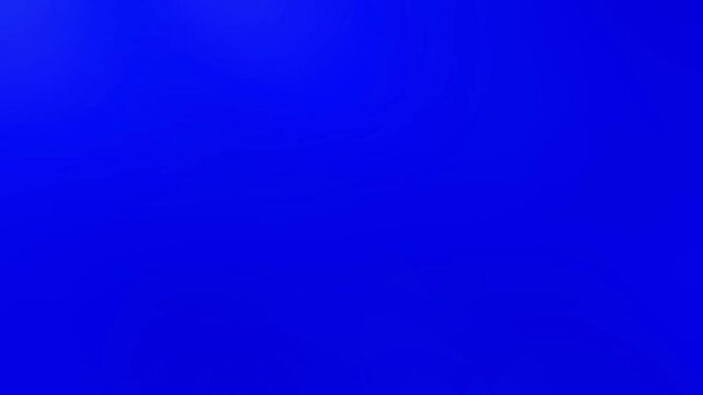 Marigold Flower Transitions Blue Screen | Transition 8